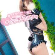 ヒメ日記 2025/06/15 16:46 投稿 ゆうこ スイカ