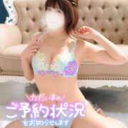 ヒメ日記 2025/09/18 16:27 投稿 ゆうこ スイカ