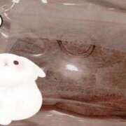 ヒメ日記 2025/09/24 23:35 投稿 ゆうこ スイカ