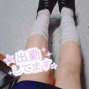 ヒメ日記 2025/10/27 17:35 投稿 ゆうこ スイカ