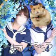 ヒメ日記 2025/10/31 19:38 投稿 ゆうこ スイカ