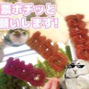 ヒメ日記 2025/11/17 20:37 投稿 ゆうこ スイカ