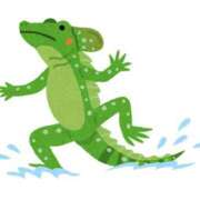 ヒメ日記 2025/11/20 16:20 投稿 ゆうこ スイカ