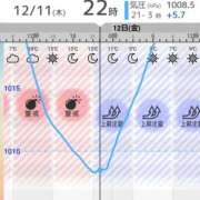 ヒメ日記 2025/12/12 16:21 投稿 ゆうこ スイカ