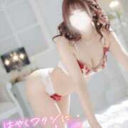 ヒメ日記 2025/12/12 18:03 投稿 ゆうこ スイカ