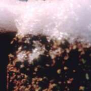 ヒメ日記 2026/01/03 21:46 投稿 ゆうこ スイカ