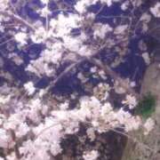 ヒメ日記 2026/03/30 21:08 投稿 ゆうこ スイカ