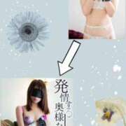 ヒメ日記 2025/09/29 21:21 投稿 しの 夜這専門発情する奥様たち 谷九店