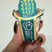 ヒメ日記 2025/09/29 23:41 投稿 しの 夜這専門発情する奥様たち 谷九店