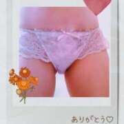 ヒメ日記 2025/10/05 04:41 投稿 しの 夜這専門発情する奥様たち 谷九店