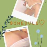 ヒメ日記 2025/12/08 19:41 投稿 しの 夜這専門発情する奥様たち 谷九店