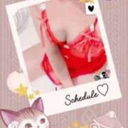 ヒメ日記 2025/12/24 23:44 投稿 しの 夜這専門発情する奥様たち 谷九店