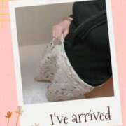 ヒメ日記 2026/01/06 11:21 投稿 しの 夜這専門発情する奥様たち 谷九店