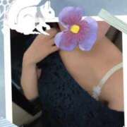 ヒメ日記 2026/01/15 08:11 投稿 しの 夜這専門発情する奥様たち 谷九店