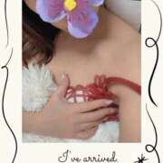 ヒメ日記 2026/01/25 11:21 投稿 しの 夜這専門発情する奥様たち 谷九店