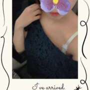 ヒメ日記 2026/02/03 11:31 投稿 しの 夜這専門発情する奥様たち 谷九店