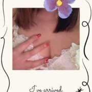 ヒメ日記 2026/02/12 11:01 投稿 しの 夜這専門発情する奥様たち 谷九店