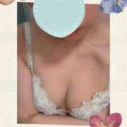 ヒメ日記 2026/02/17 08:41 投稿 しの 夜這専門発情する奥様たち 谷九店