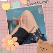 ヒメ日記 2026/02/17 10:51 投稿 しの 夜這専門発情する奥様たち 谷九店