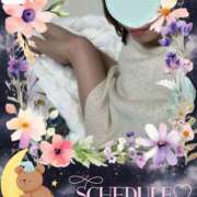 ヒメ日記 2026/02/18 02:41 投稿 しの 夜這専門発情する奥様たち 谷九店