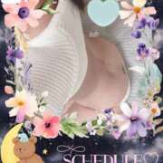 ヒメ日記 2026/02/20 00:11 投稿 しの 夜這専門発情する奥様たち 谷九店