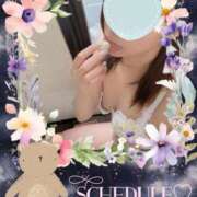 ヒメ日記 2026/02/22 23:41 投稿 しの 夜這専門発情する奥様たち 谷九店