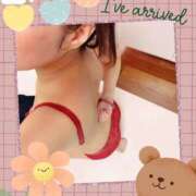 ヒメ日記 2026/03/05 11:29 投稿 しの 夜這専門発情する奥様たち 谷九店