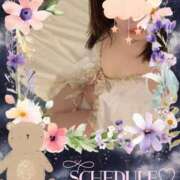 ヒメ日記 2026/03/08 01:30 投稿 しの 夜這専門発情する奥様たち 谷九店