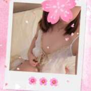 ヒメ日記 2026/03/22 11:25 投稿 しの 夜這専門発情する奥様たち 谷九店