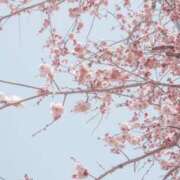 ヒメ日記 2026/03/22 00:15 投稿 いく Sakura Spa