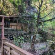 ヒメ日記 2025/05/04 06:23 投稿 しょう 人妻美人館