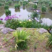 ヒメ日記 2025/06/23 16:25 投稿 しょう 人妻美人館