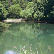 ヒメ日記 2025/06/30 10:33 投稿 しょう 人妻美人館