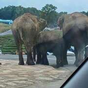 ヒメ日記 2025/08/27 13:46 投稿 しょう 人妻美人館