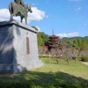 ヒメ日記 2025/11/10 11:59 投稿 しょう 人妻美人館