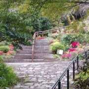 ヒメ日記 2025/11/14 10:25 投稿 しょう 人妻美人館