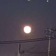 しょう お暇な時に... 人妻美人館