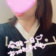 ヒメ日記 2024/12/15 10:16 投稿 増田 品川やすらぎ