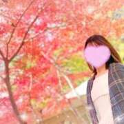 ヒメ日記 2025/11/16 11:57 投稿 増田 品川やすらぎ