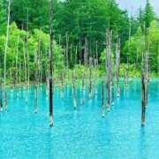 ヒメ日記 2026/01/30 12:57 投稿 増田 品川やすらぎ