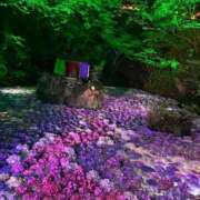 ヒメ日記 2025/06/27 09:25 投稿 わか 待ちナビ