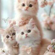 ヒメ日記 2025/08/16 11:45 投稿 わか 待ちナビ