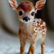 ヒメ日記 2025/09/06 11:55 投稿 わか 待ちナビ