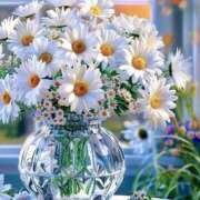 ヒメ日記 2025/09/08 11:43 投稿 わか 待ちナビ