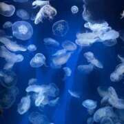 ヒメ日記 2025/10/07 10:39 投稿 わか 待ちナビ