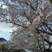 ヒメ日記 2026/04/06 08:05 投稿 わか 待ちナビ