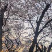 ヒメ日記 2026/04/13 19:22 投稿 ケイ(盛岡) REAL(盛岡)