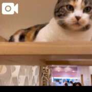 ヒメ日記 2026/03/23 20:02 投稿 サイカ(盛岡) REAL(盛岡)