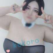 ヒメ日記 2024/12/20 21:05 投稿 荒木心 Prae(プラエ)