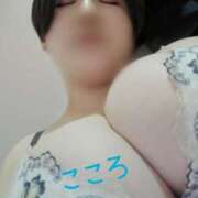 ヒメ日記 2024/12/29 12:21 投稿 荒木心 Prae(プラエ)